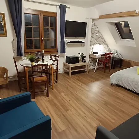 Appartement Prive Avec Piscine, Fibre Et Netflix Rorschwihr Exterior photo