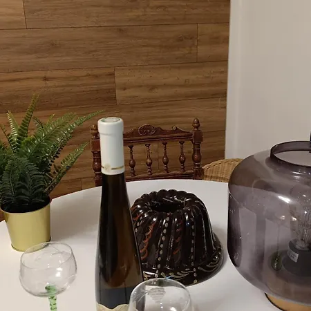 Appartement Prive Avec Piscine, Fibre Et Netflix Rorschwihr Exterior photo